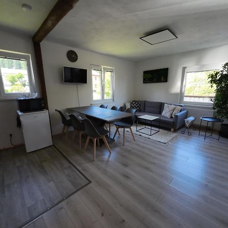 Loučovice Apartman Andrea מראה חיצוני תמונה